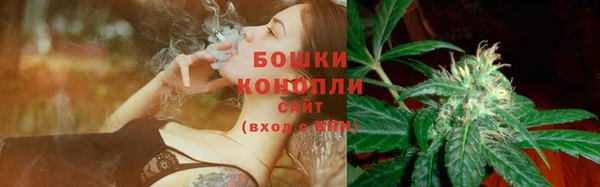 экстази Белокуриха
