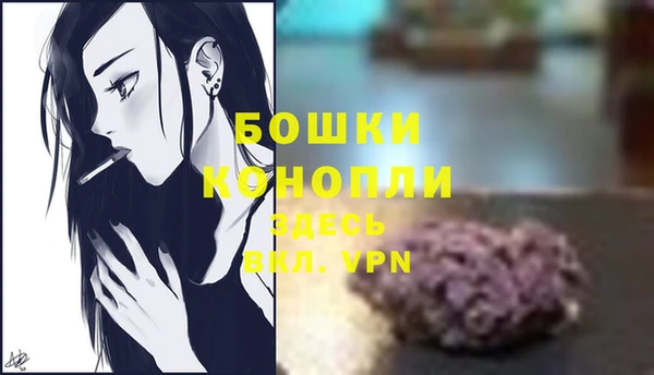 гашик Беломорск