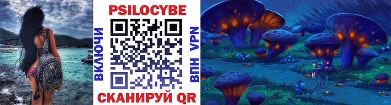 Псилоцибиновые грибы Psilocybine cubensis Курчалой